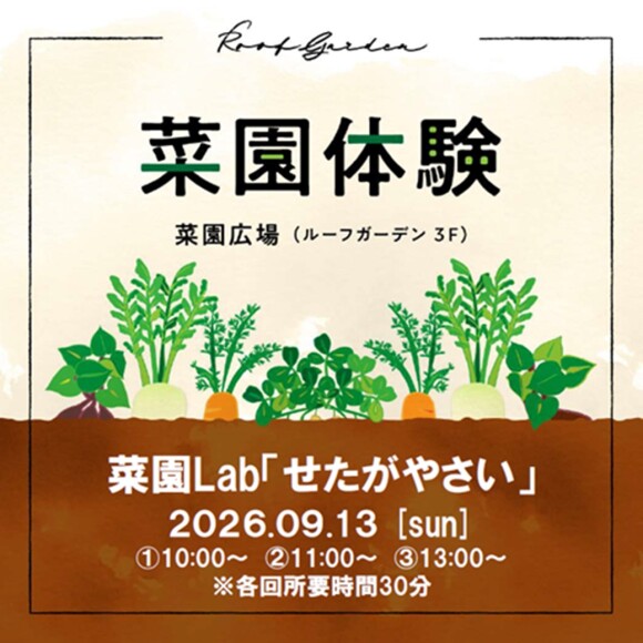 菜園体験(菜園Lab「せたがやさい」)
